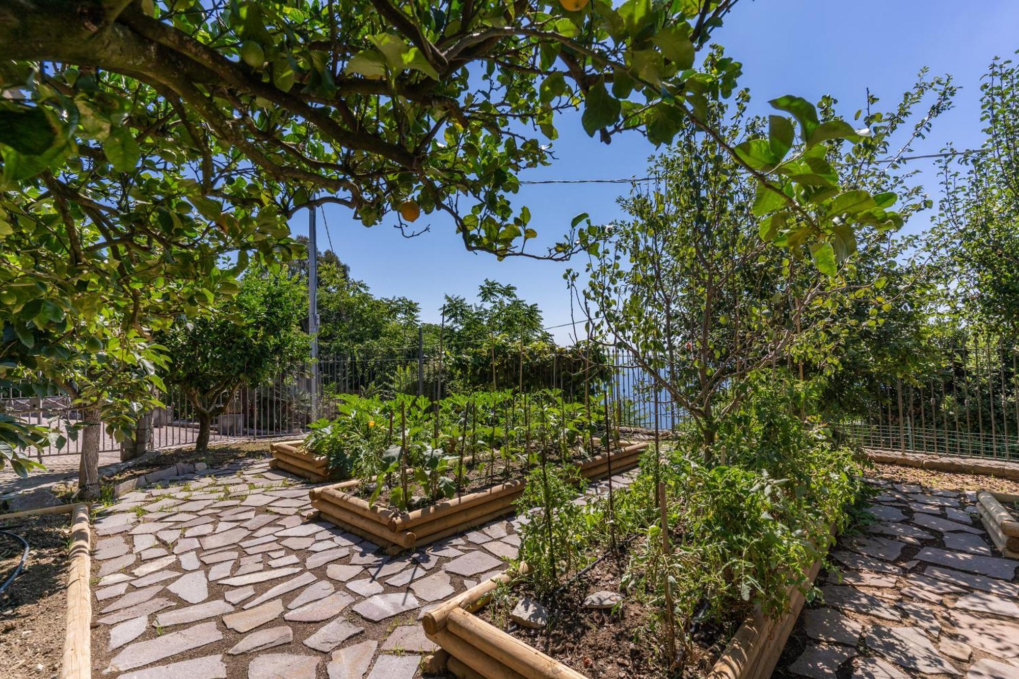 Villa Solatia Massa Lubrense Buitenkant foto